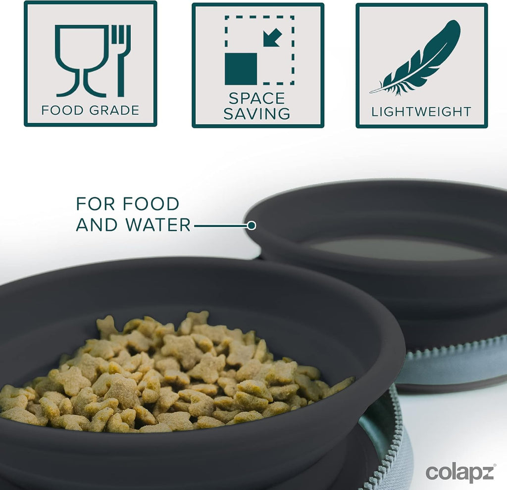 Collapsible Dog Bowls with Travel Case 2 Pack
