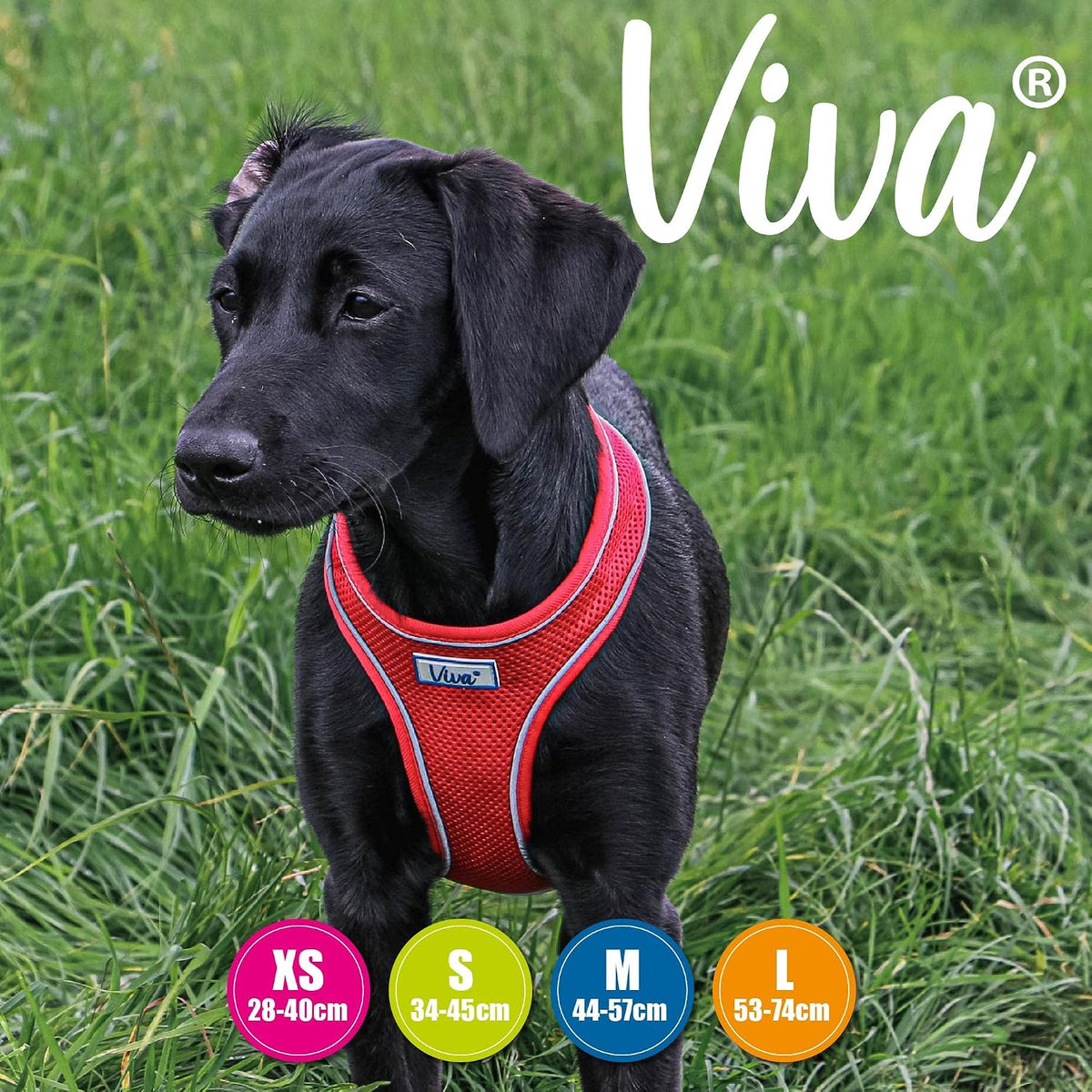 Simply Comfortable Padded Breathable Mesh Red Dog Harness Pet Training Accessory 44-57 Cm, Medium