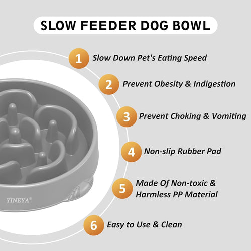 4 Cups Slow Feeder Dog Bowls Large Breed Anti-Choking Healthy Eating