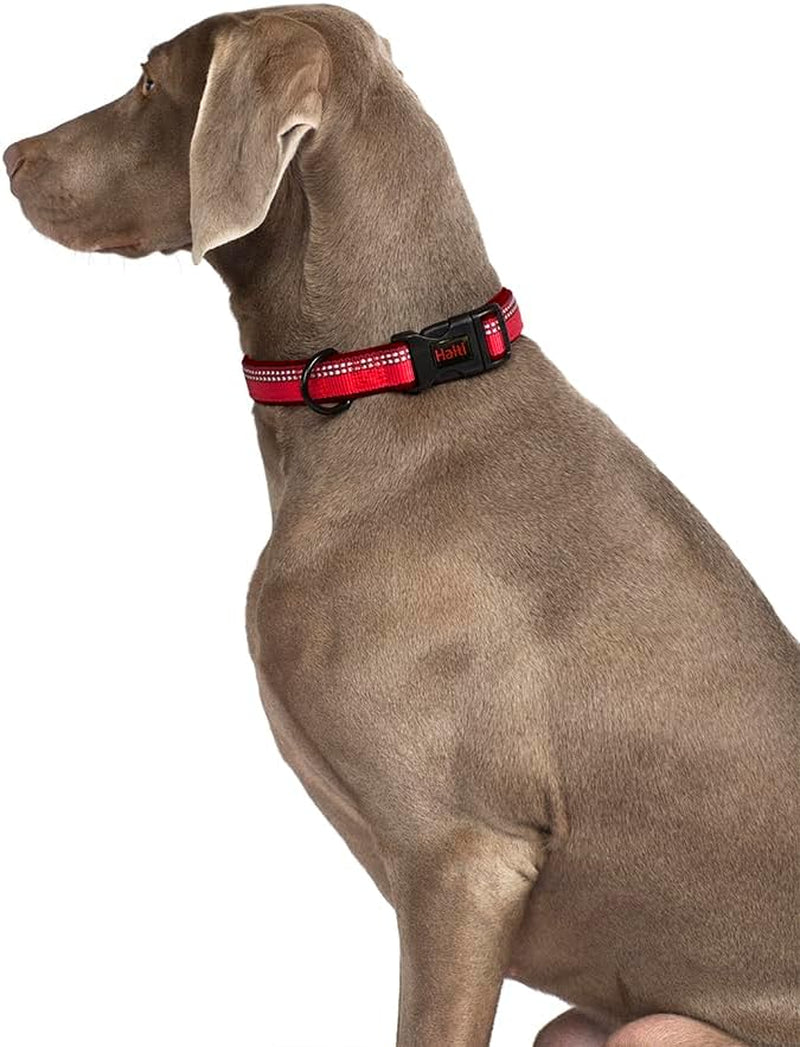 Dog Collar | Size S, Blue