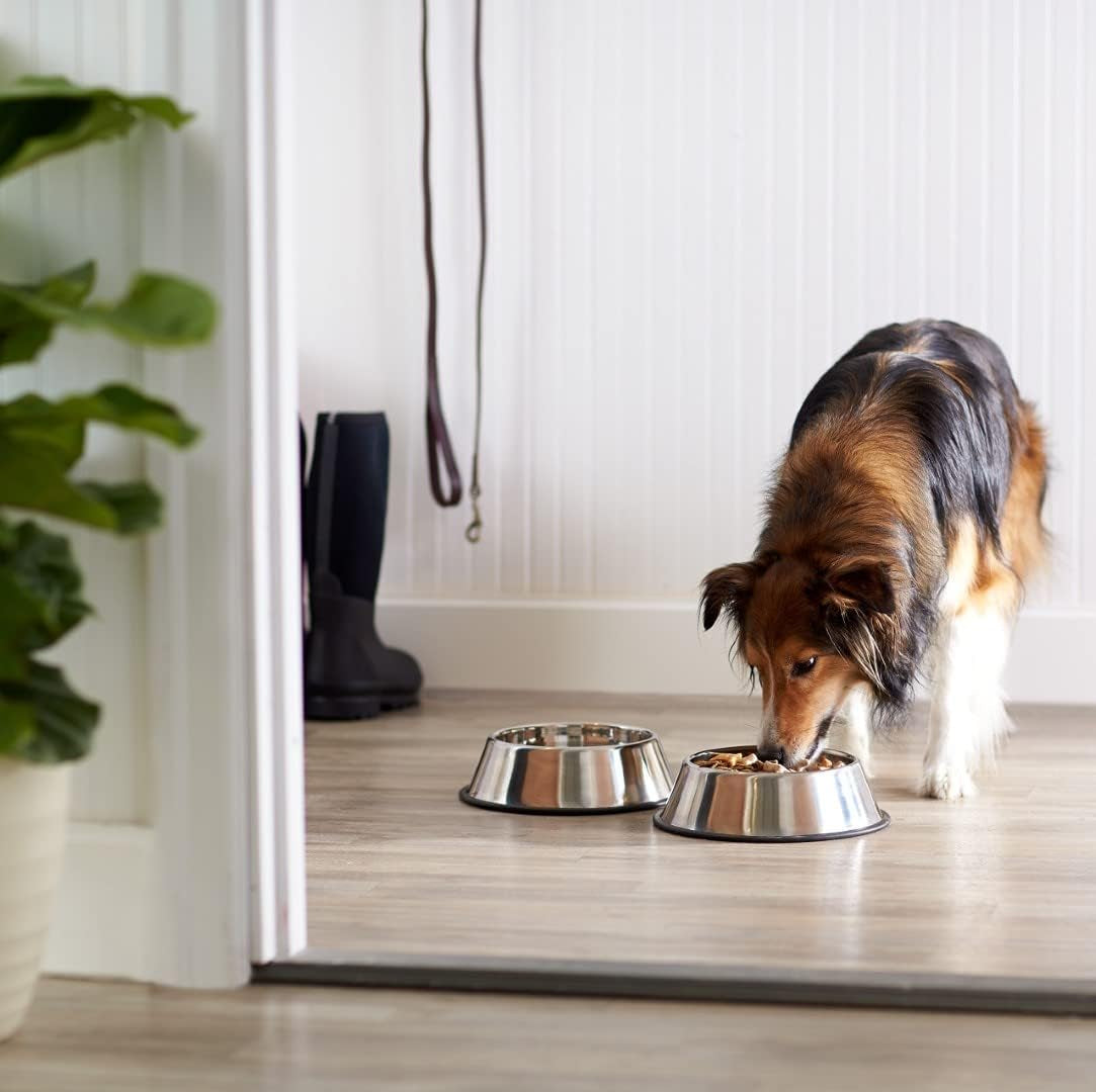 Dog Bowls for Food and Water, Stainless Steel, 2 Count, Silver
