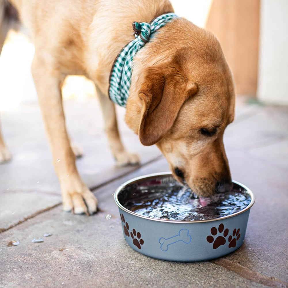 Bella Dog Bowl, X-Large, 2.2 Litre