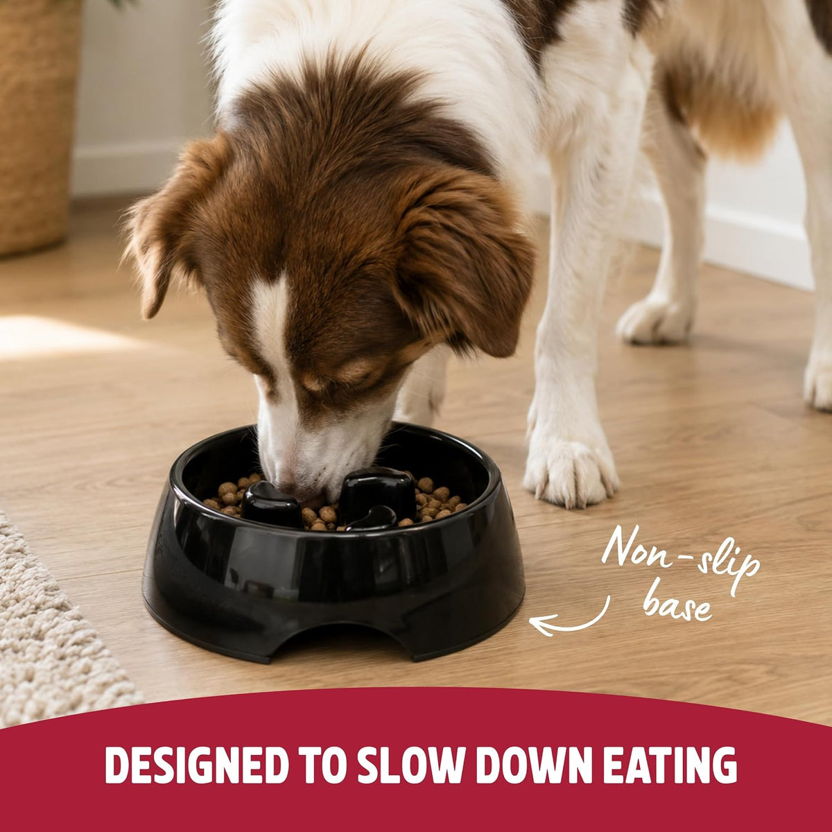 Medium Anti-Scoff Slow Feeder Dog Bowl