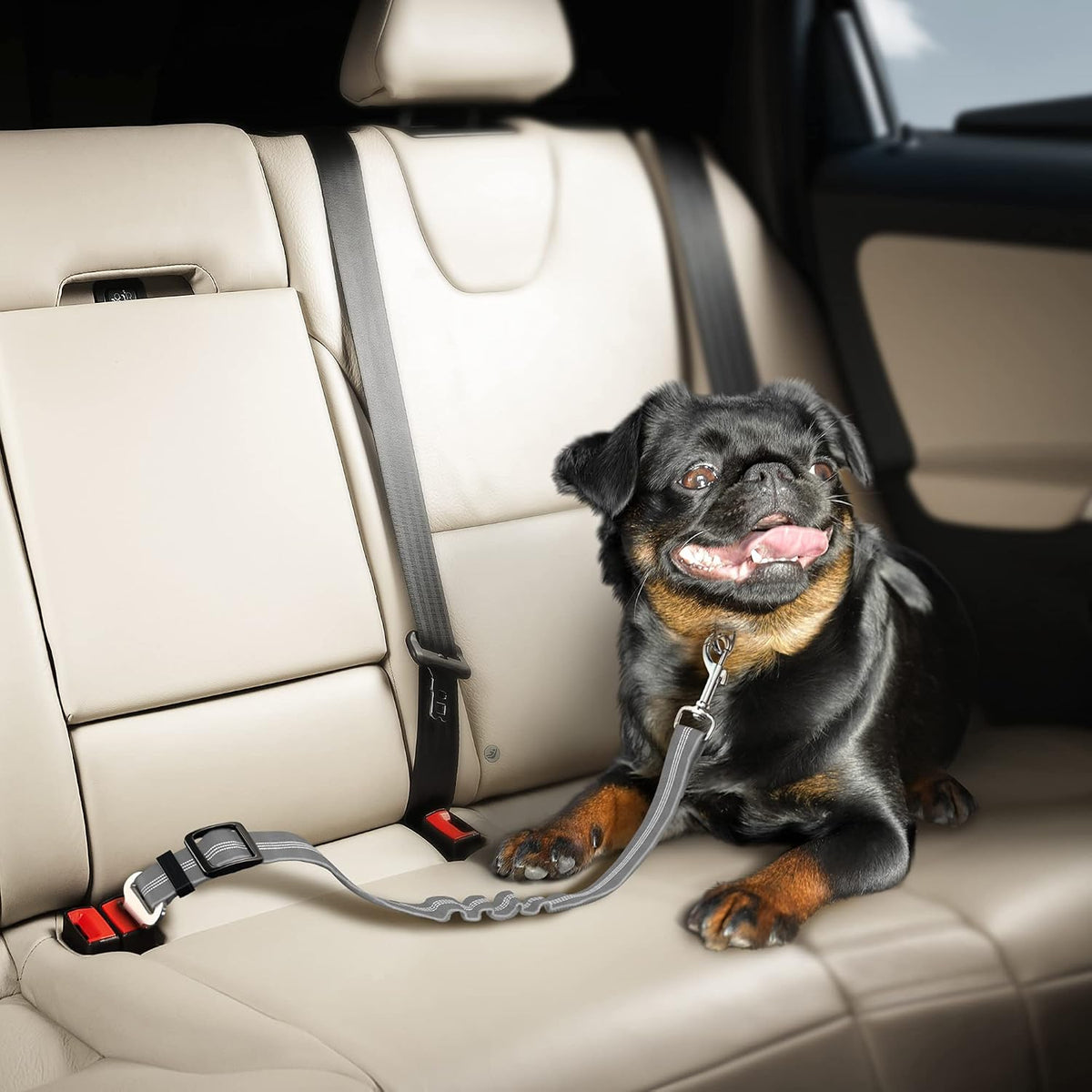 Dog Seat Belt for Car - Adjustable Dog Car Safety Harness, Elastic anti Shock Dog Seat Belt. (Grey)