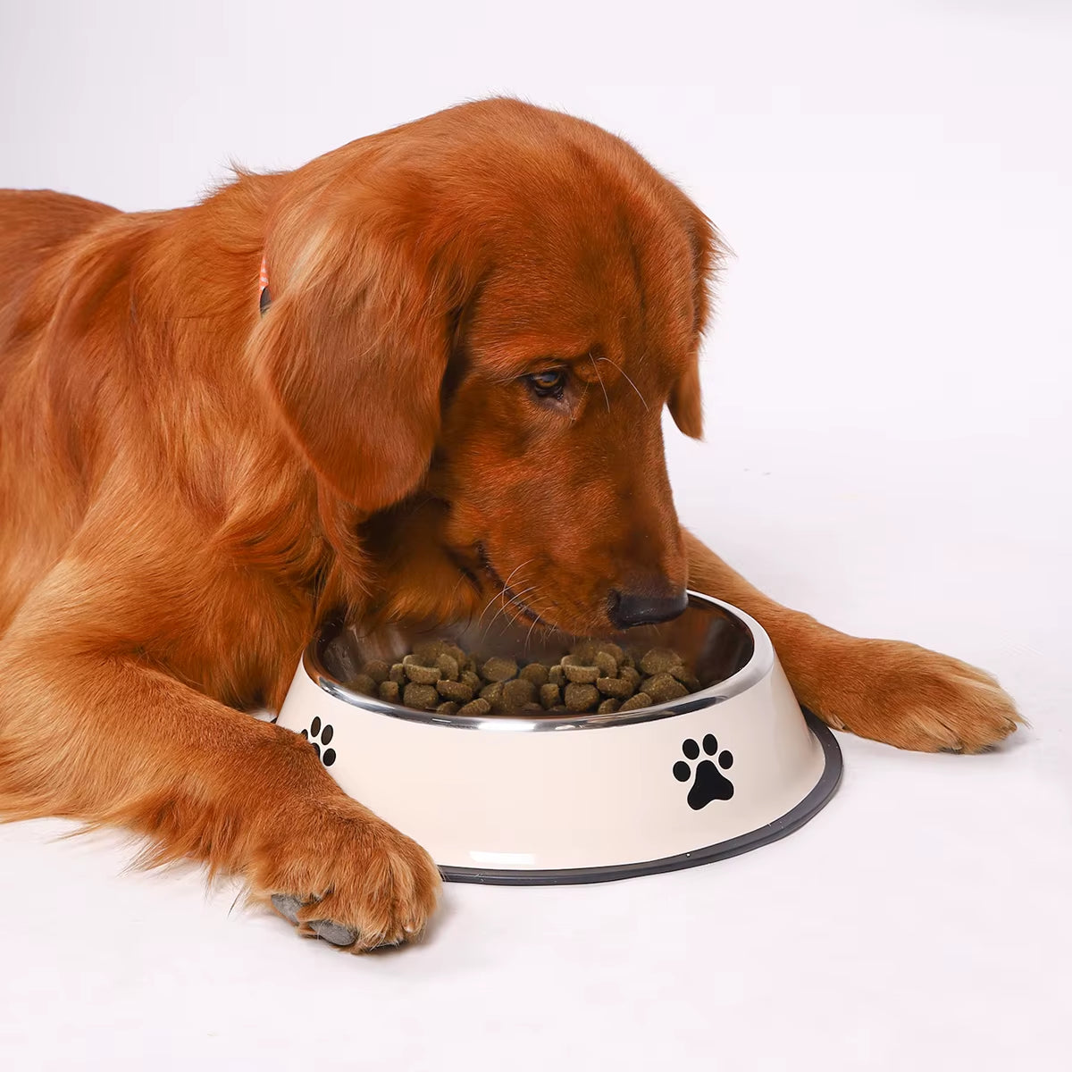 1PC Stainless Steel Pet Bowl Cat Bowl Dog Food Bowl Multi-Specification Anti-Fall Food Bowl Food Bowl Feeding Pet Supplies