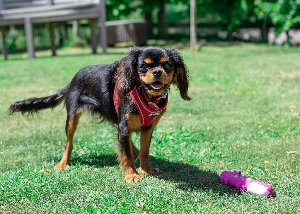 Simply Comfortable Padded Breathable Mesh Red Dog Harness Pet Training Accessory 44-57 Cm, Medium