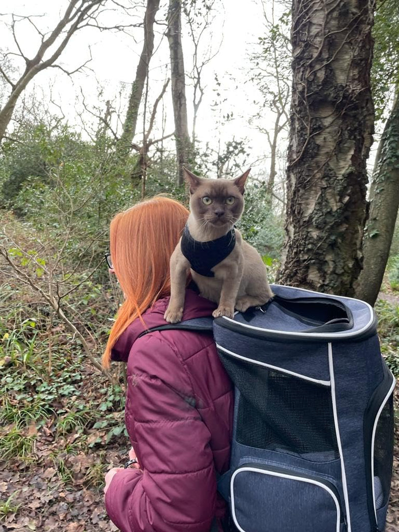 Cat Backpack Dog Backpack for Cats and Small Dogs 7 Kg, Foldable Pet Backpack with Inner Safety Lead and Shell