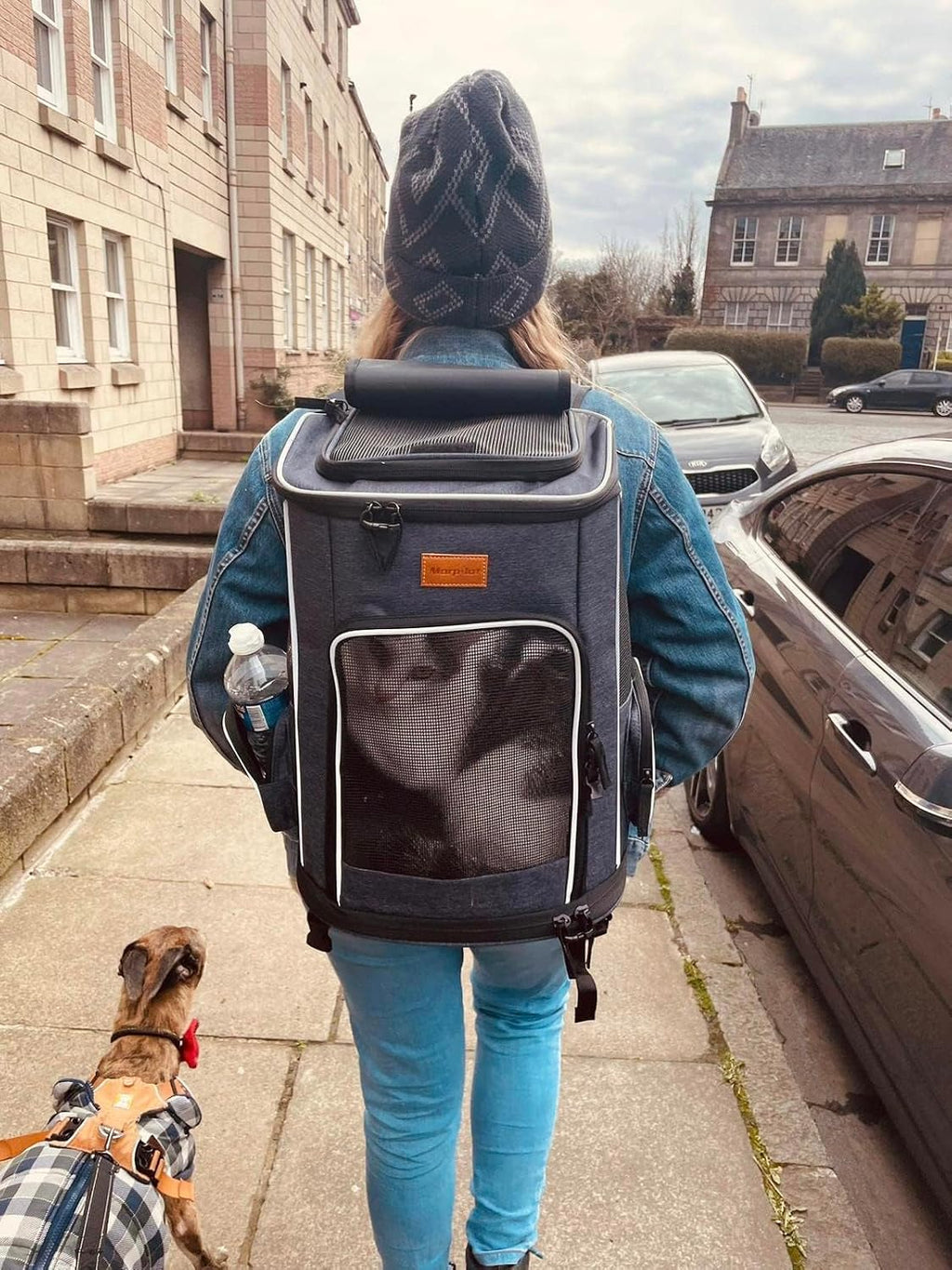 Cat Backpack Dog Backpack for Cats and Small Dogs 7 Kg, Foldable Pet Backpack with Inner Safety Lead and Shell