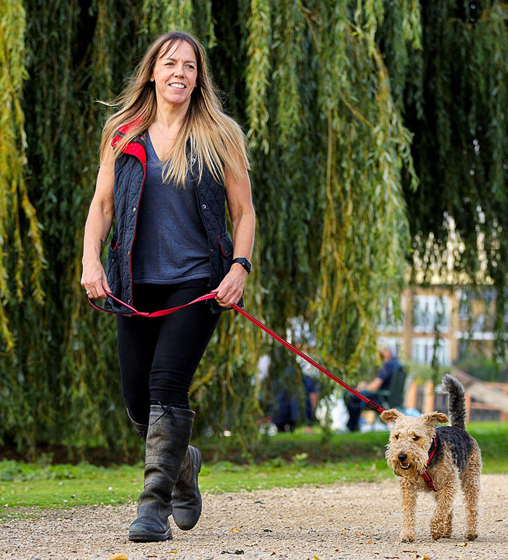 Lead for Dogs | Size Small, Black, 1.2M