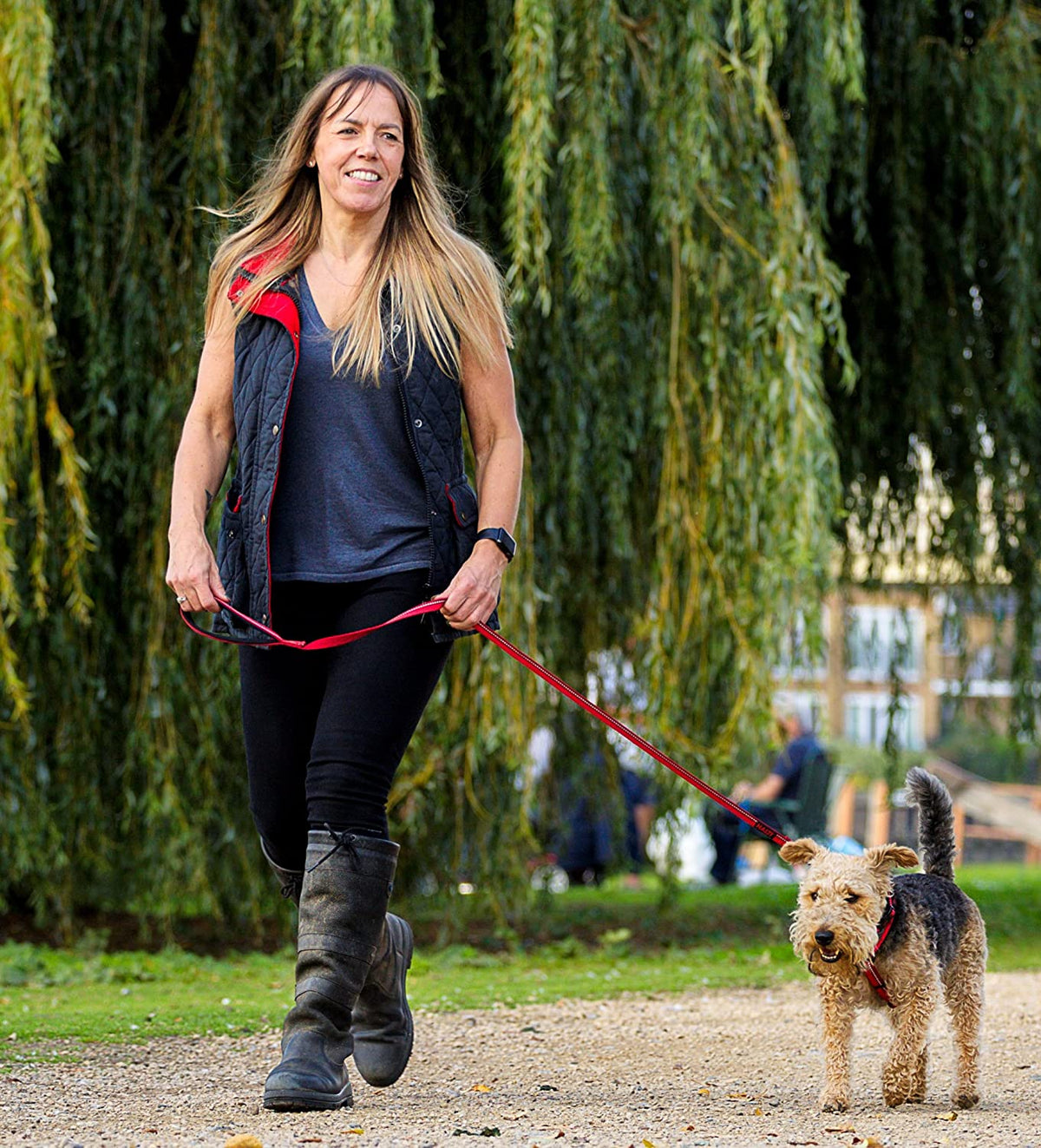 Lead for Dogs | Size Small, Black, 1.2M