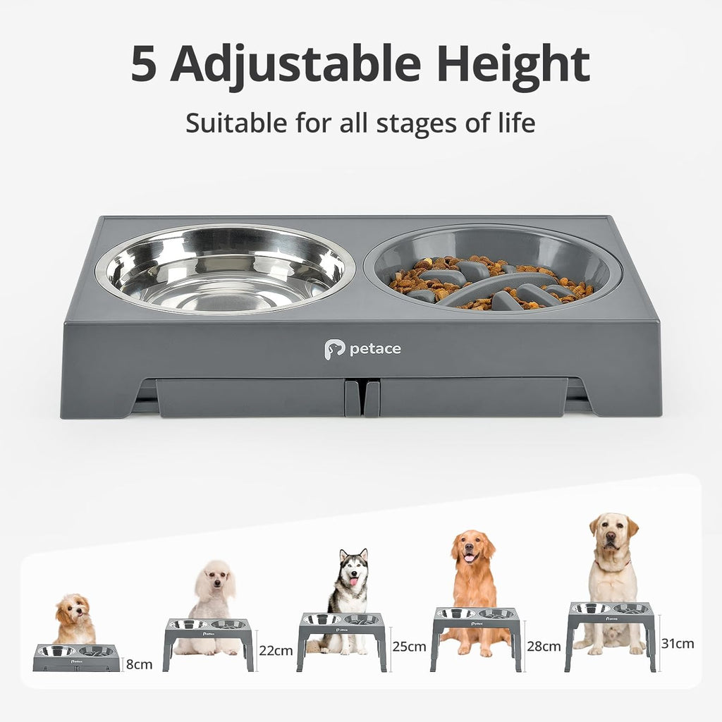 Raised Dog Bowl, 5 Adjustable Heights, 2 Stainless Bowls, Grey