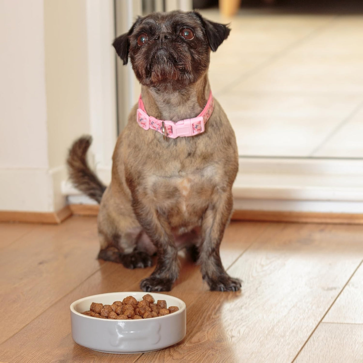 Colour Mix Grey Dog Bowl 15Cm |500Cml Capacity |Stoneware Pet Bowl for Food & Water | Dishwasher, Freezer & Microwave Safe (Pack of 2)