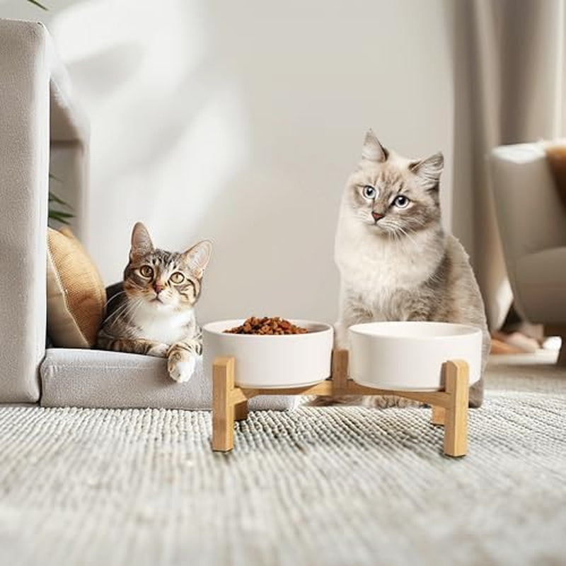 Elevated Ceramic Dog Bowl Set - Raised Dog Bowls with Non-Slip Bamboo Stand - Dog Food and Water Bowl Set - Double Dog Feeding Bowls - Pet Dishes for Cats and Small Dogs - 16.23 OZ - 2 CUPS - 480 ML