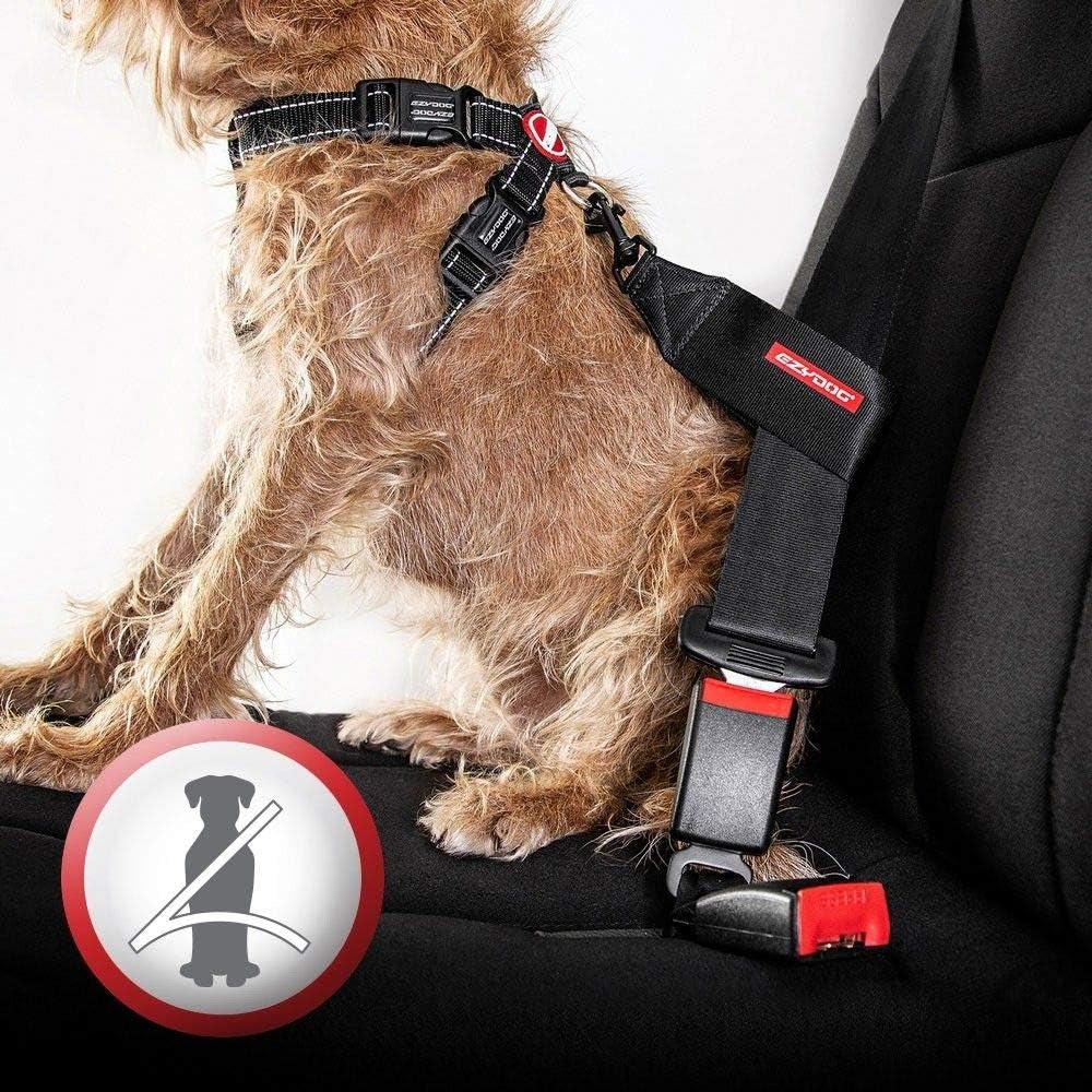 Adjustable Chest Plate Harness - Step-In, No Pull Dog Harness, XX Small to XX Large Dogs - Reflective, Durable Soft Webbing, K9 Travel Vest with Car Restraint - Ideal for Active Pets - Orange