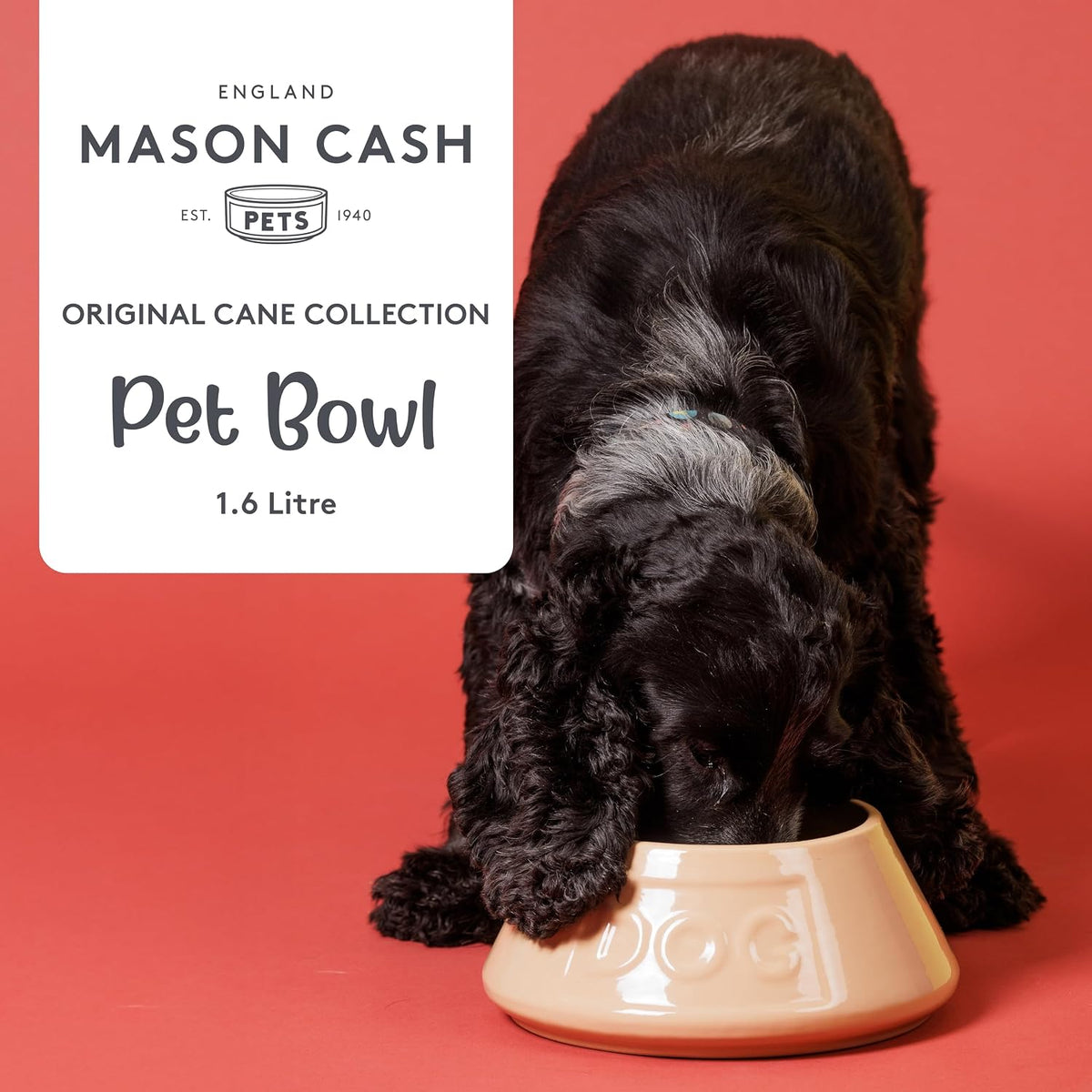 Cane Non Tip Dog Bowl 21 Cm Ceramic Dog Feeding Bowl for Food & Water, Non Slip & anti Spill Pet Bowl, Dishwasher & Freezer Safe