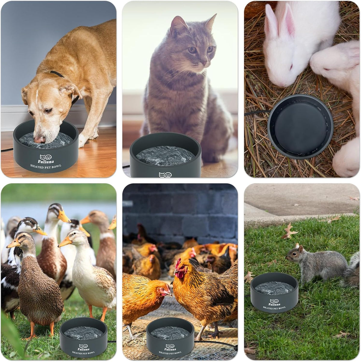 Outdoor Heated Pet Bowl with Chew Resistant Cord, Thermal Bowl Provides Drinkable Water in Winter for Dogs, Cats, Rabbits, Chickens, Ducks - 0.85 Gallon