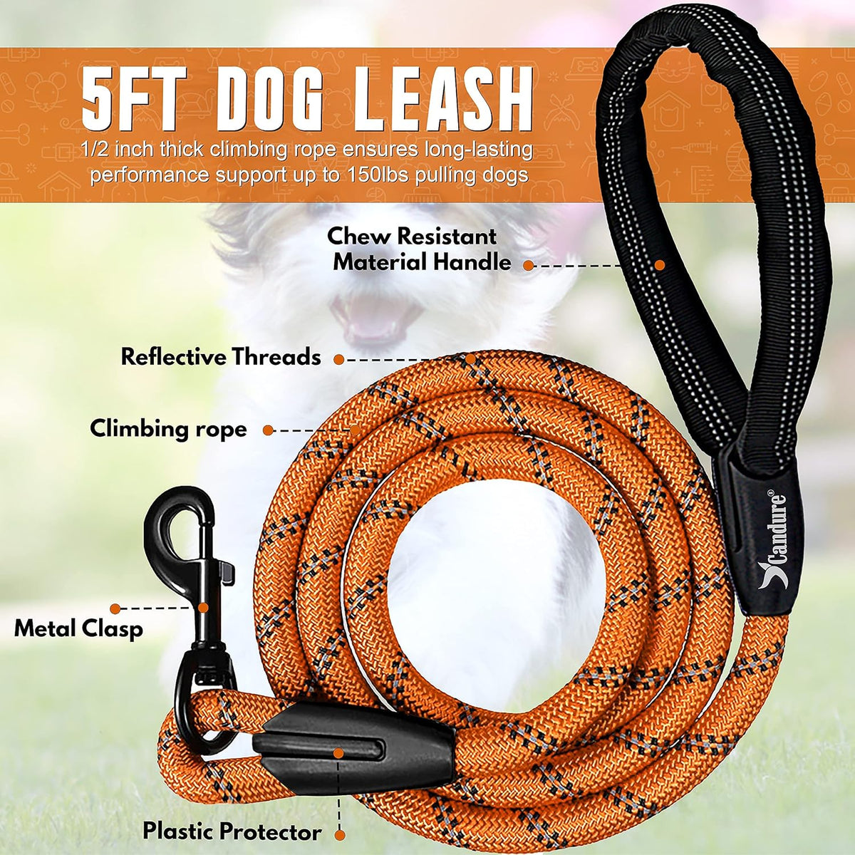 Dog Lead, 5 FT, Orange, Soft Padded, anti Slip, Reflective, Perfect for Small, Medium & Large Dogs