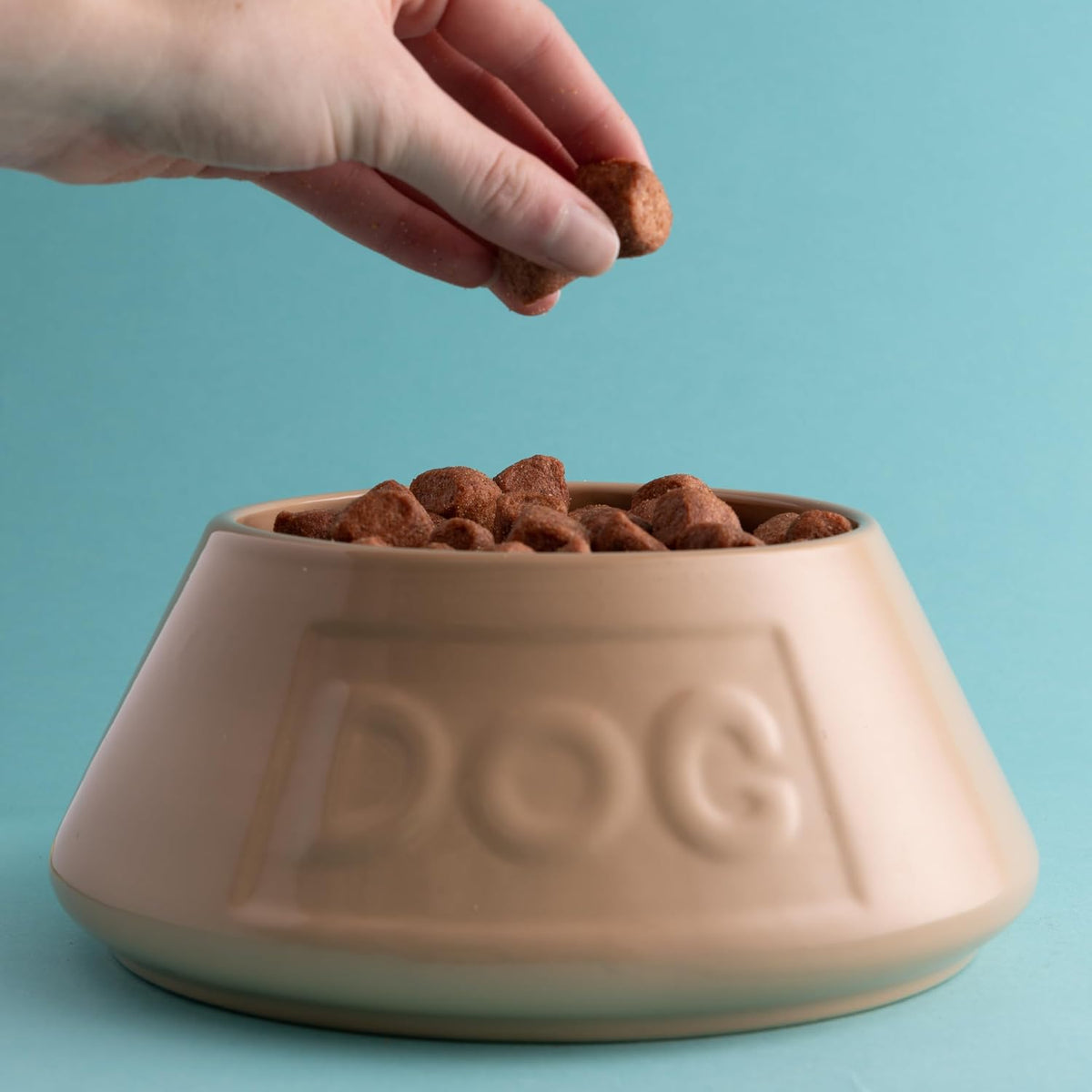 Cane Non Tip Dog Bowl 21 Cm Ceramic Dog Feeding Bowl for Food & Water, Non Slip & anti Spill Pet Bowl, Dishwasher & Freezer Safe