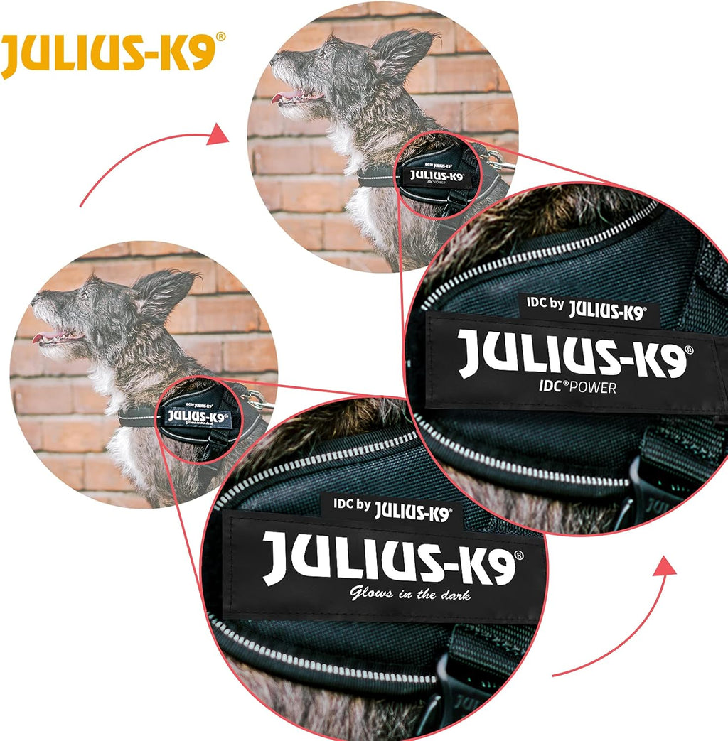 JULIUS-K9 IDC Powerharness, XS, No Pull Dog Harness, Neon Green