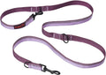 Double-Ended Lead for Dogs | Size Small, Purple, 2M