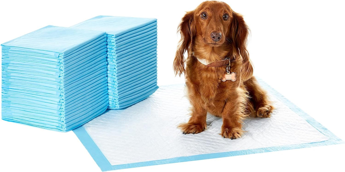Heavy Duty Dog and Puppy Training Pads, Leakproof with Quick-Dry Surface, Regular, Pack of 50, Blue & White