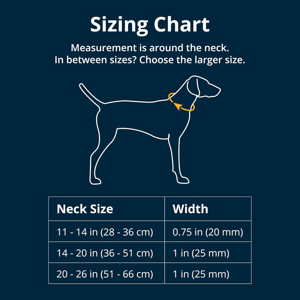 Ruffwear Front Range Small Dog Collar, Pet Dog Collar with Aluminum V-Ring Dog Lead Attachment, Comfortable & Strong with Side Buckle & Webbing for Dog Walking, Size S (28-36Cm), Mountains Logo