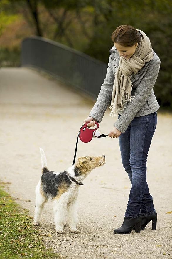 Flexi Multi Box Light Grey – Dog Training Treat & Poo Bag Dispenser for Walks
