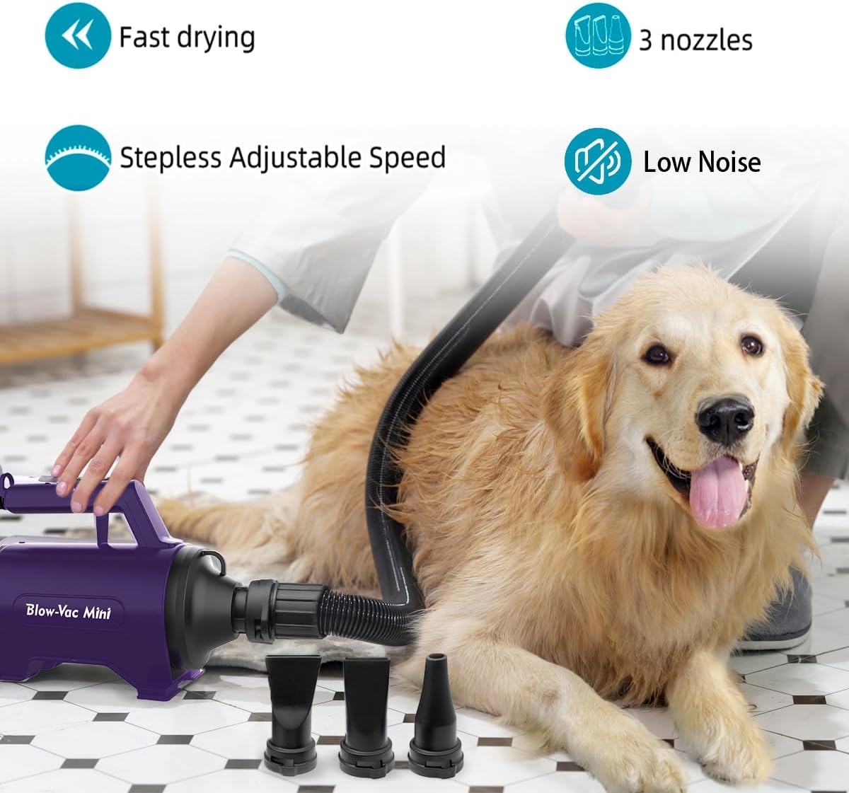 High Velocity Dog Dryer & Pet Grooming Blower – Professional Dog Hair Dryer for Fast Coat Drying