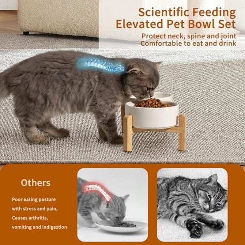 Elevated Ceramic Dog Bowl Set - Raised Dog Bowls with Non-Slip Bamboo Stand - Dog Food and Water Bowl Set - Double Dog Feeding Bowls - Pet Dishes for Cats and Small Dogs - 16.23 OZ - 2 CUPS - 480 ML
