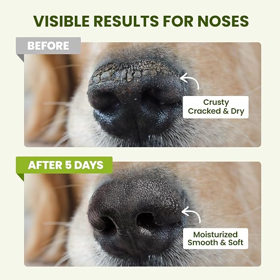 PawSono Lick-Safe Dog Paw & Nose Balm Stick with Coconut Oil – Dog Paw & Nose Care, Moisturising BalmPawSono Lick-Safe Dog Paw & Nose Balm Stick with Coconut Oil – Dog Paw & Nose Care, Moisturising Balm