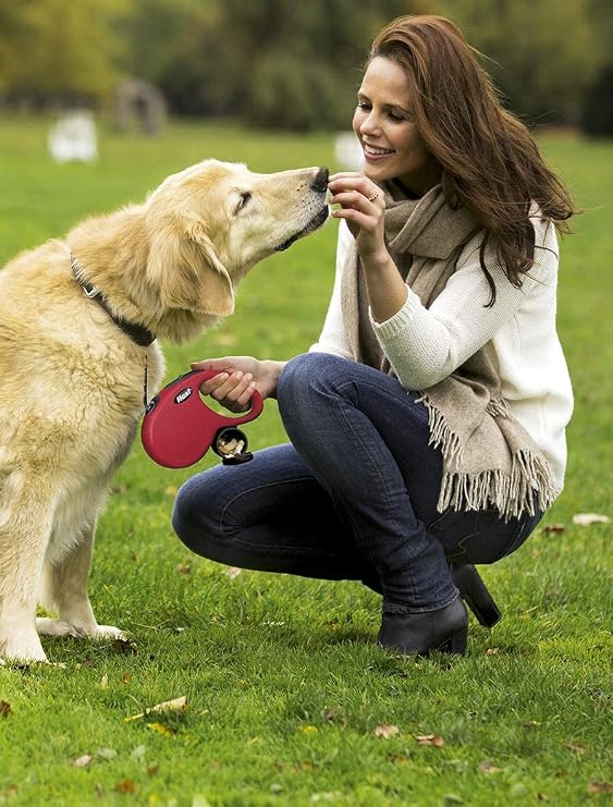 Flexi Multi Box Light Grey – Dog Training Treat & Poo Bag Dispenser for Walks
