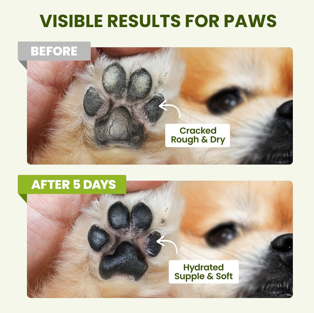 PawSono Dog Paw & Nose Balm with Coconut Oil – Lick-Safe Paw & Nose Care Balm for Dogs, 60g