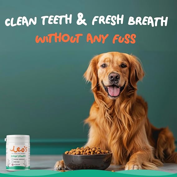 Leo's Plaque Off Powder for Dogs & Cats – Natural Dental Care Food Topper for Teeth & Fresh Breath, 200g
