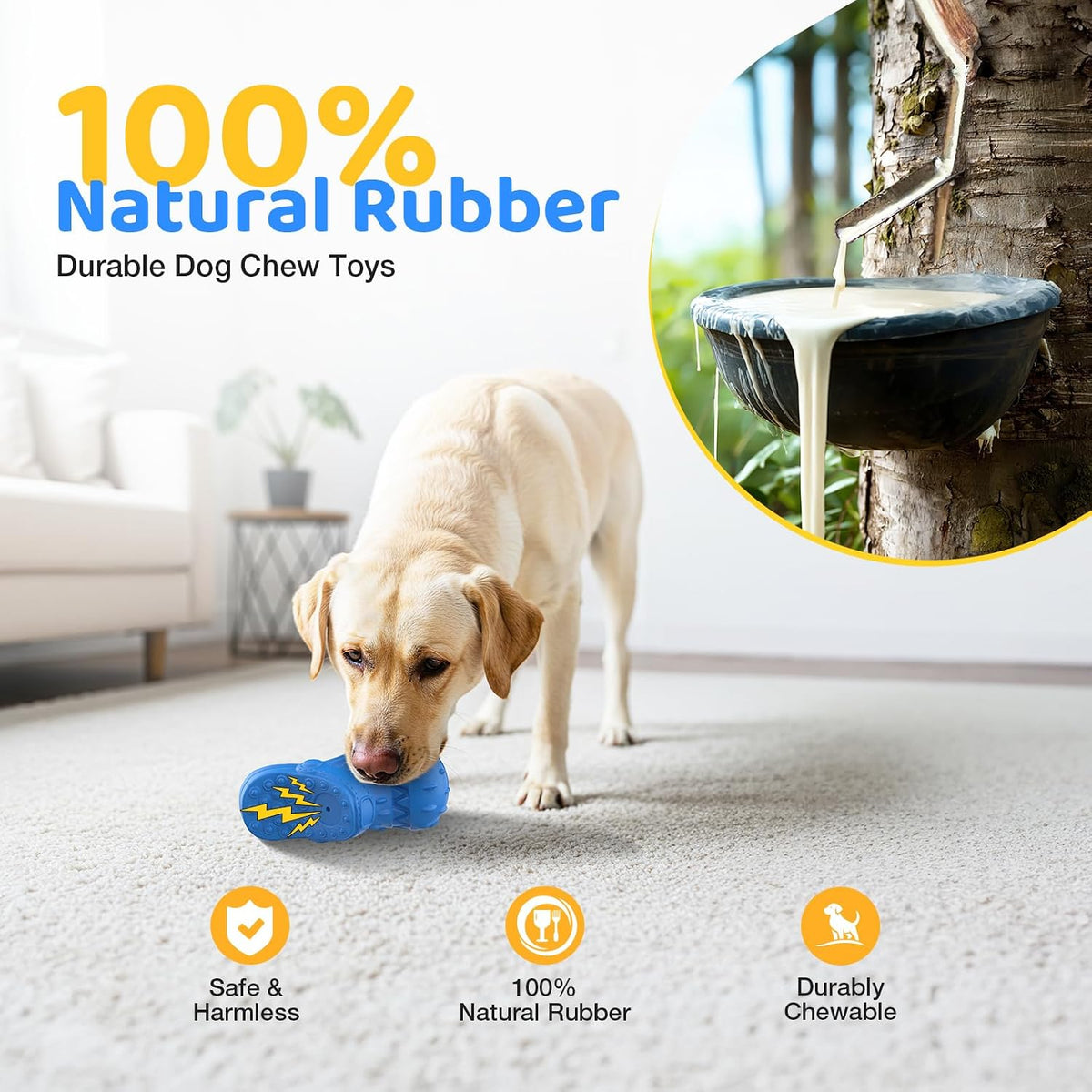 RUXAN Squeaky Dog Chew Toy, Durable Interactive Puppy Toy for Chewing & Play