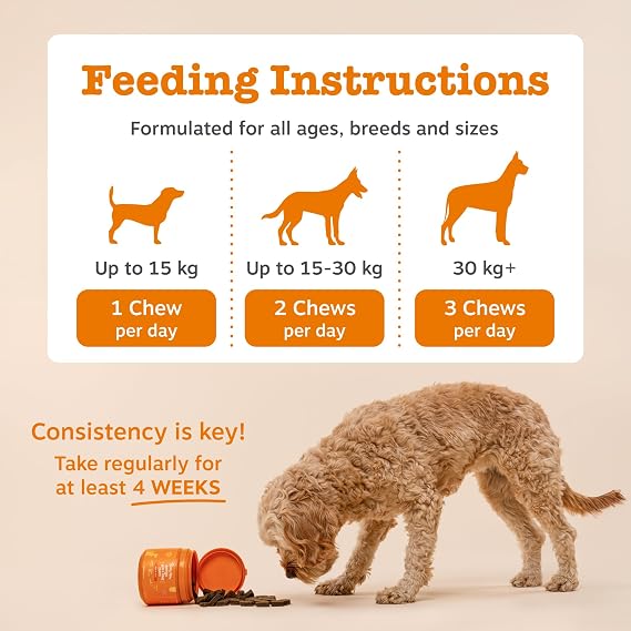 Zesty Paws Probiotic Chews for Dogs – Daily Digestive & Gut Support Supplement, 90 Chews