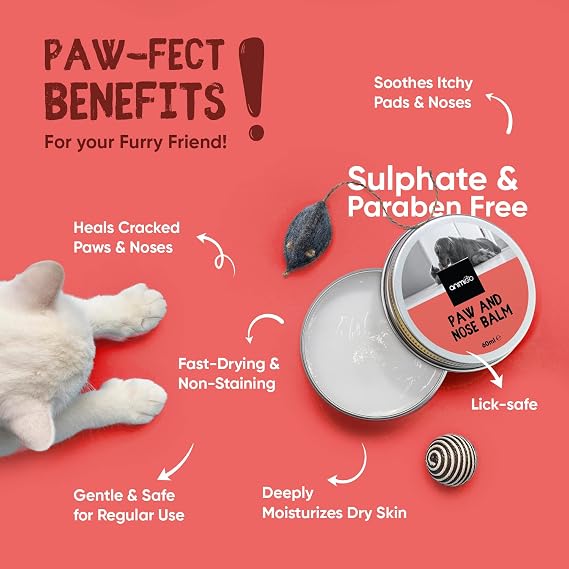 Dog Paw & Nose Balm 60ml – Natural Lick-Safe Paw & Nose Moisturiser for Dogs & Cats with Coconut & Olive Oil
