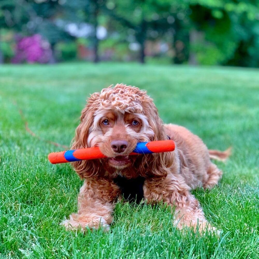 Chuckit! Ultra Fetch Stick Durable Rubber Dog Toy – 30.5cm Interactive Fetch & Retrieve Toy
