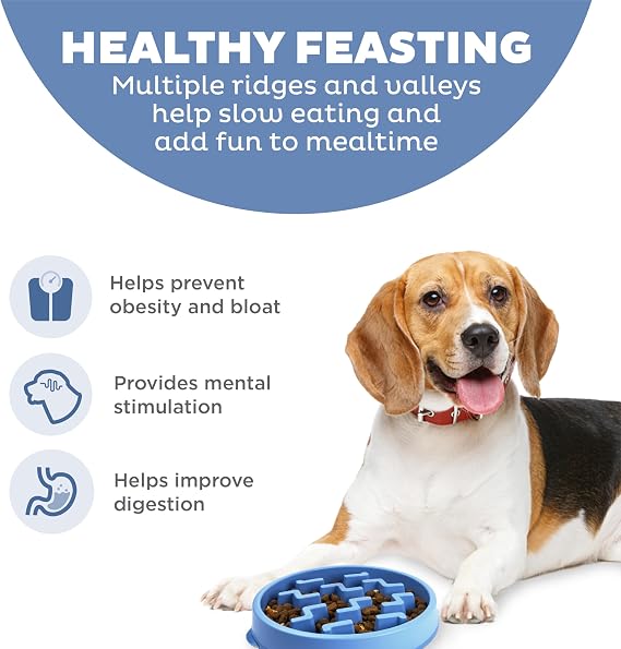 Outward Hound Slow Feeder Dog Bowl – Interactive Slow Feeding Bowl for Dogs, Medium, Blue