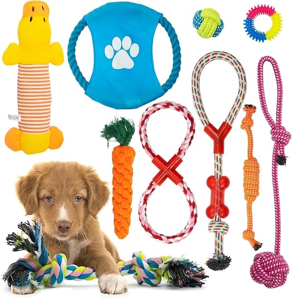 Fur & Bone Dog Chew Toys 10-Pack – Puppy Teething, Rope & Squeaky Toys for Small & Medium Dogs