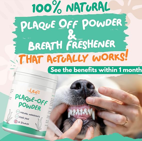 Leo's Plaque Off Powder for Dogs & Cats – Natural Dental Care Food Topper for Teeth & Fresh Breath, 200g