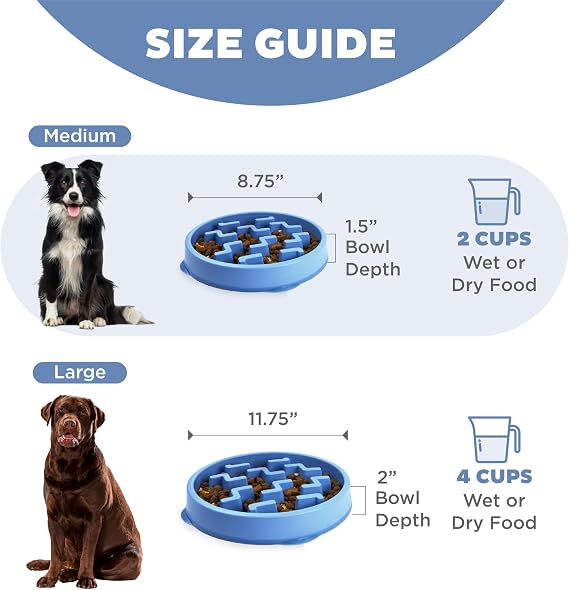 Outward Hound Slow Feeder Dog Bowl – Interactive Slow Feeding Bowl for Dogs, Medium, Blue