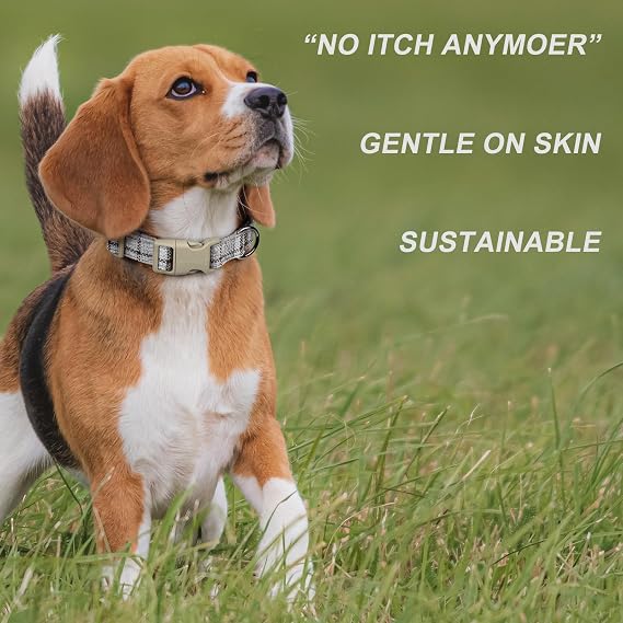 Plutus Pet Cotton Hemp Dog Collar & Lead Set – Adjustable Soft & Gentle Dog Walking Set