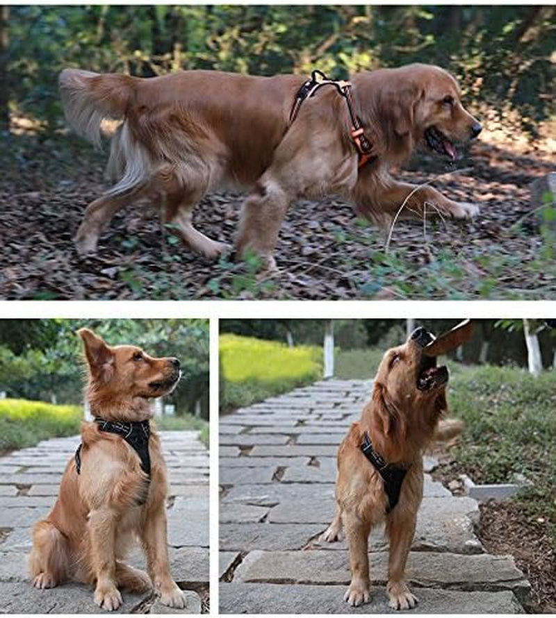 Dog Harness,No Pull Adjustable Vest with Front & Back Lead Clips