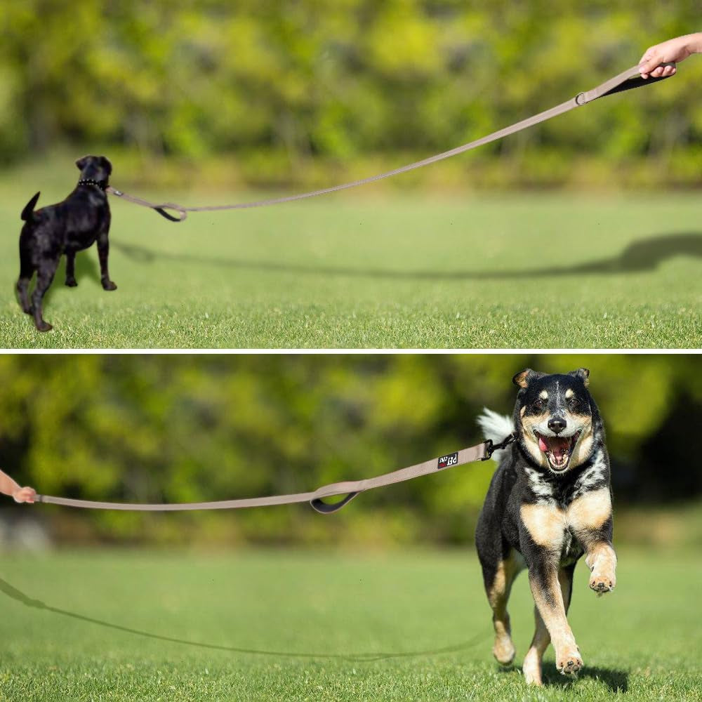 Double Handle Dog Lead 1.8M, Heavy Duty, Reflective Dual Handle Dog Lead for Safety Training, for Medium Large Dogs,2 Handle Leads(Beige)