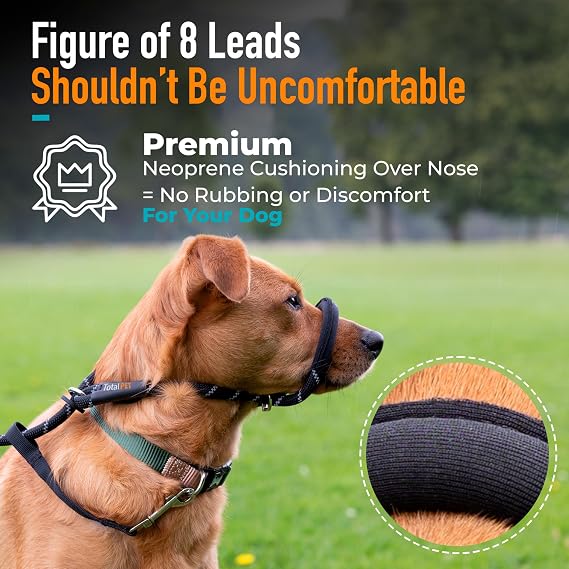 Total Pet Figure of 8 Dog Lead – Anti-Pull Rope Slip Lead with Padded Nose Support for Medium & Large Dogs, Black