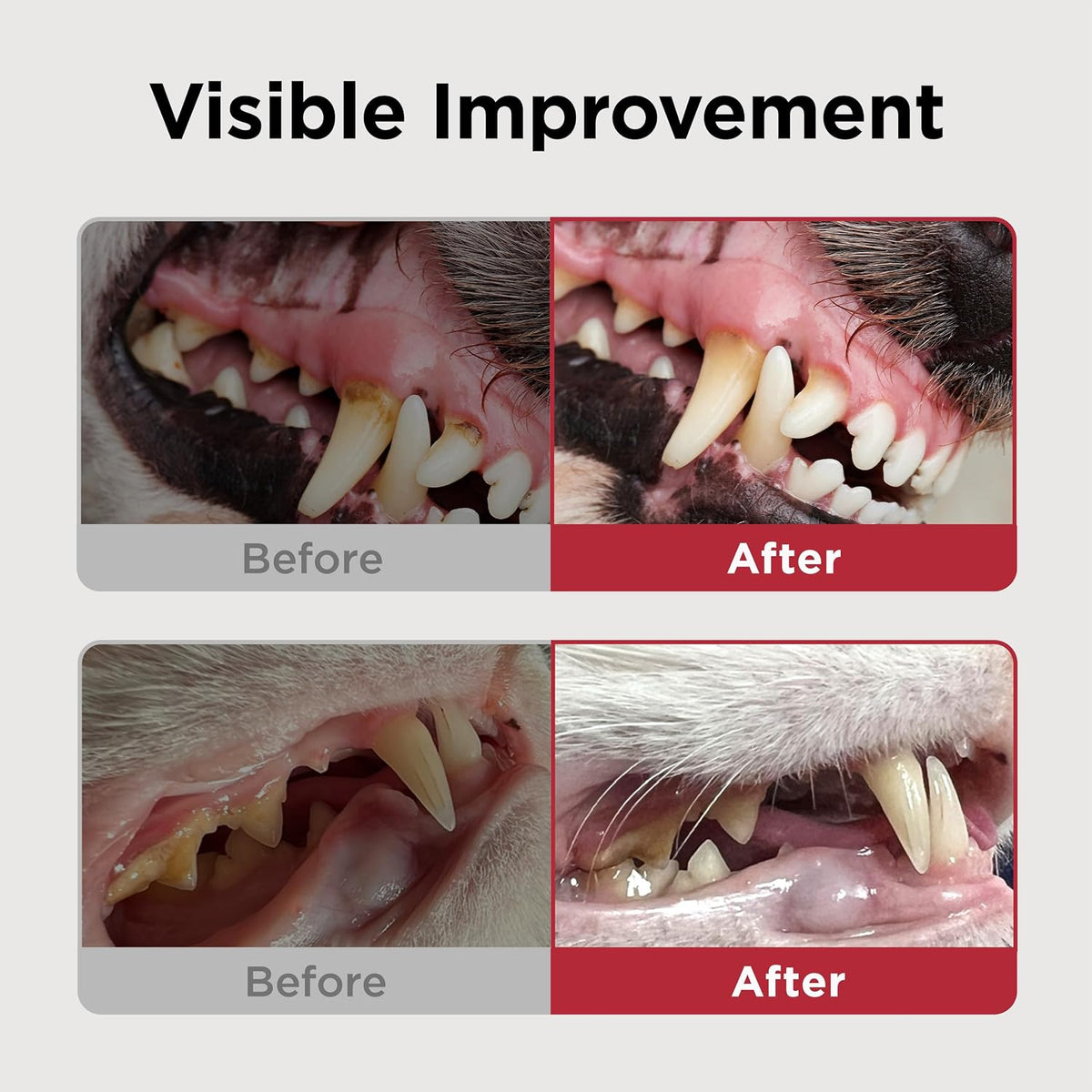JAYU PET Dog & Cat Toothbrush – Soft Bristle Dental Care Brush for Small Dogs, Puppies & Cats, Plaque & Tartar Cleaning