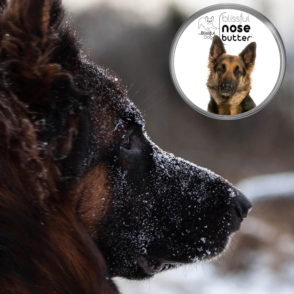 The Blissful Dog Nose Butter 1oz – Unscented Dog Nose Balm & Moisturiser for Dry Snouts