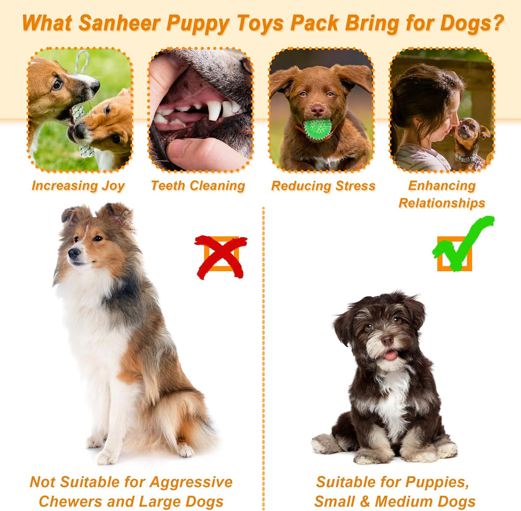 Fur & Bone Dog Chew Toys 10-Pack – Puppy Teething, Rope & Squeaky Toys for Small & Medium Dogs