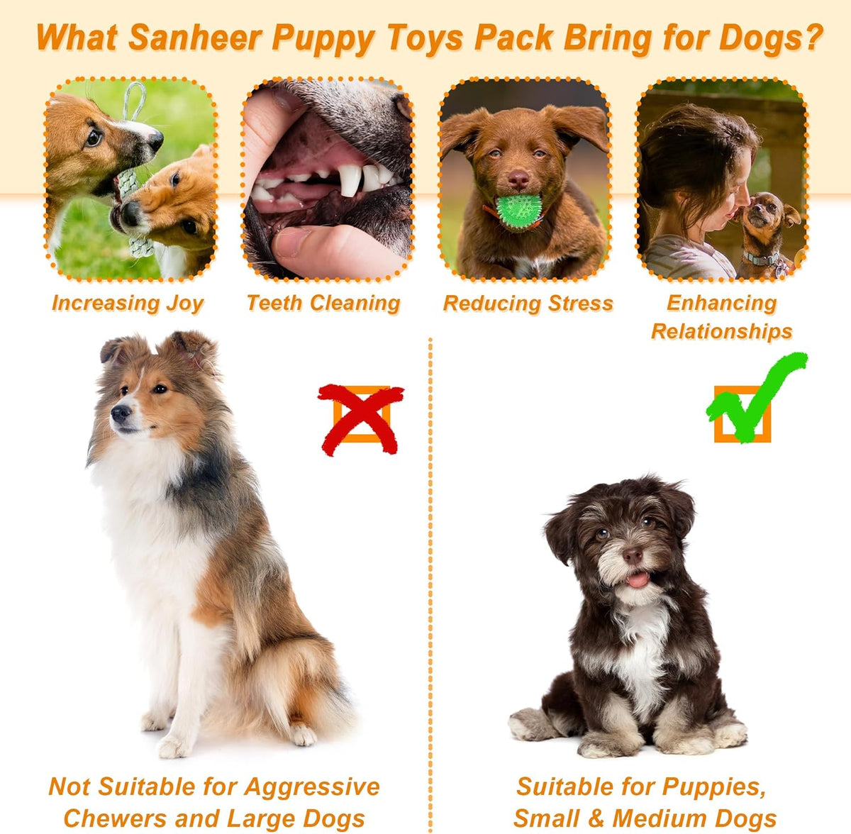Fur & Bone Dog Chew Toys 10-Pack – Puppy Teething, Rope & Squeaky Toys for Small & Medium Dogs