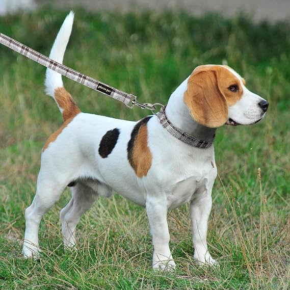 Plutus Pet Cotton Hemp Dog Collar & Lead Set – Adjustable Soft & Gentle Dog Walking Set
